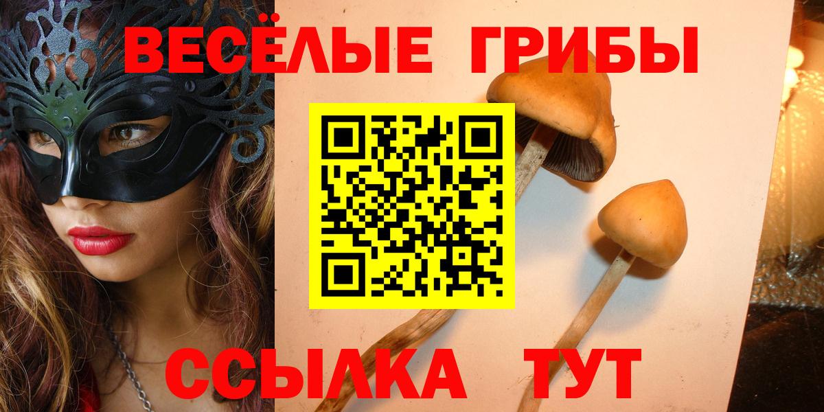 Псилоцибиновые грибы мицелий Белорецк