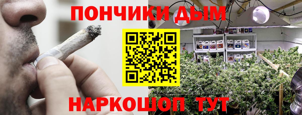 Бошки Шишки гибрид  Вход с VPN  Белорецк  Каннабис VHQ 